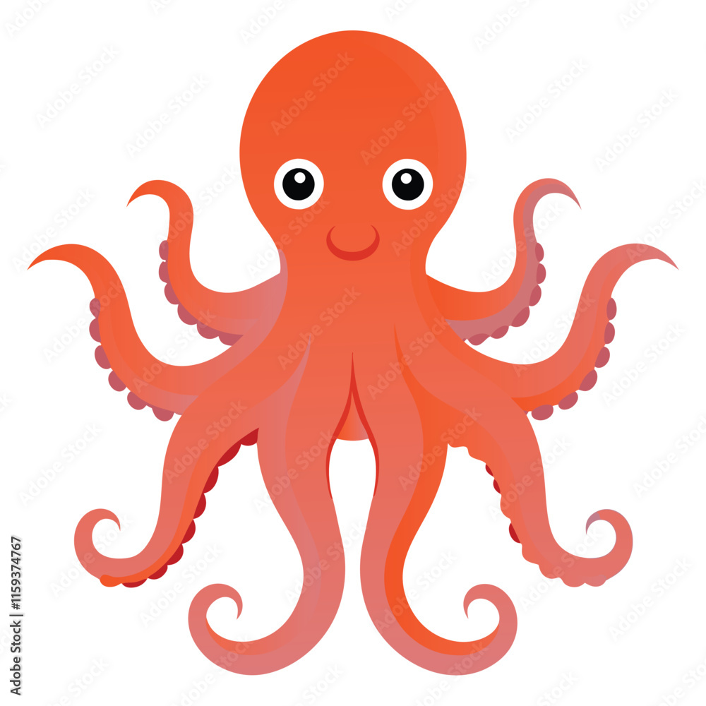 octopus octopus