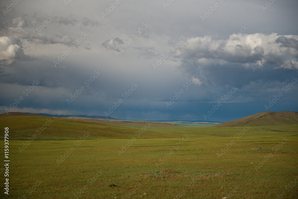 Fototapeta premium Mongolian horses grazing at the summer pasture