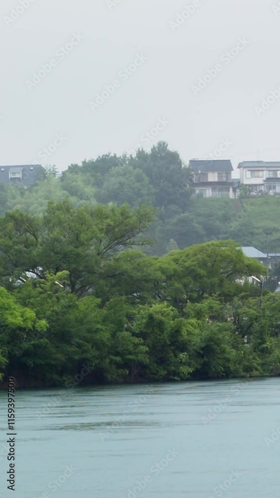 雨が降る　水辺と森林　縦動画