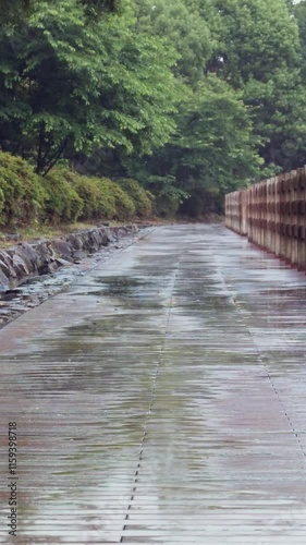 水辺の遊歩道や手すりに降りしきる雨と滴る雨粒　縦動画