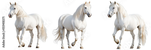 A Set of White Horses with Flowing Manes in a Majestic Display of Beauty Isolated on Transparent Background