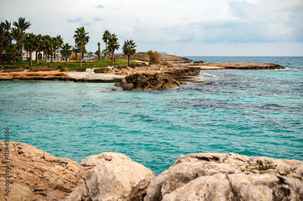 Scenic Coastal View with Turquoise Waters and Palm Trees