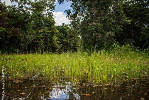 PHOTOS OF THE NANAY RIVER IN THE PERUVIAN AMAZON, BLACK WATER RIVER OR IGAPO IN THE FLOODABLE FORESTS NEAR THE ALLPAHUAYO MISHANA NATIONAL RESERVE