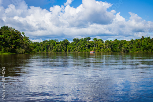 PHOTOS OF THE NANAY RIVER IN THE PERUVIAN AMAZON, BLACK WATER RIVER OR IGAPO IN THE FLOODABLE FORESTS NEAR THE ALLPAHUAYO MISHANA NATIONAL RESERVE photo