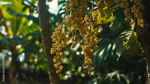

A vibrant bunch of ripe Grewia fruits on a branch, surrounded by lush green leaves in natural light. photo