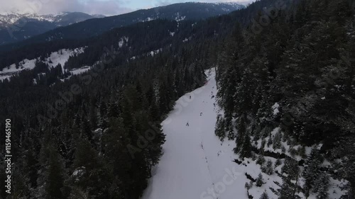 Ski-run In Snowy Forest