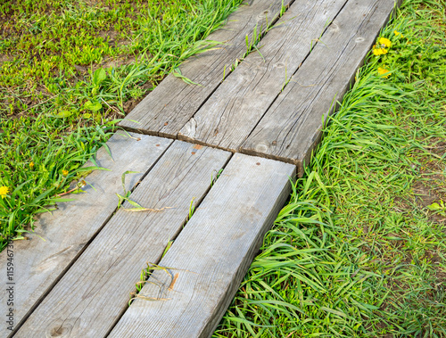 Wooden plank decking as a garden path
