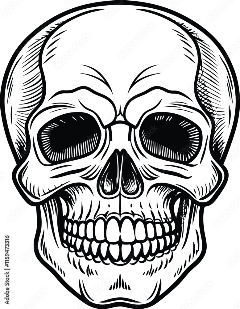 Fototapeta premium A black and white image of a skull with a black and white background