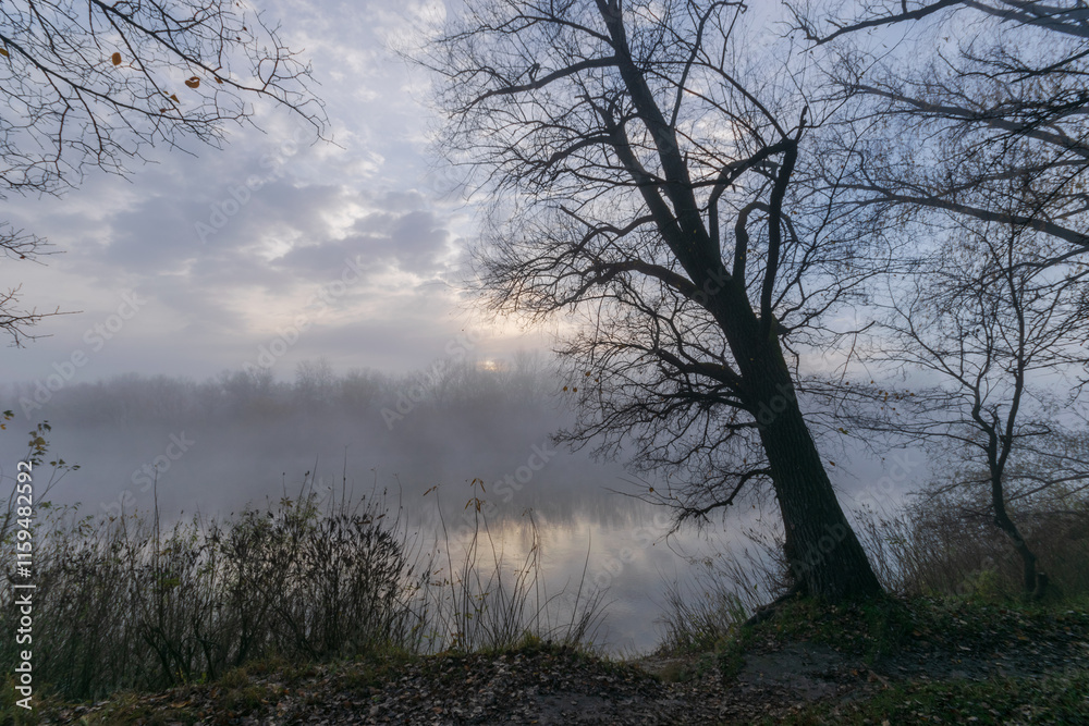 beautiful foggy sunrise in the park beautiful foggy sunrise in the park