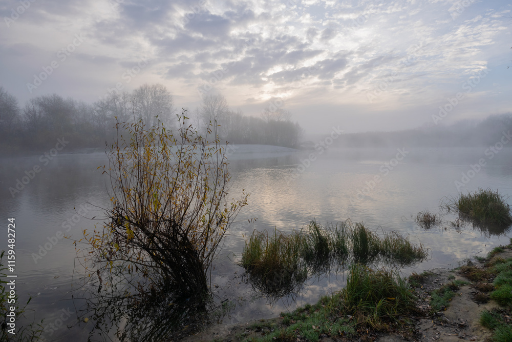 Fototapeta premium mist over the river and park