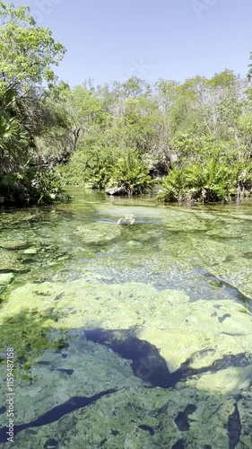 Heart Cenote in Mexico with crystal-clear waters and visible stones. A person happily jumping into the water. Warm, blue-green waters perfect for a family vacation in Yucatán, Mexico.