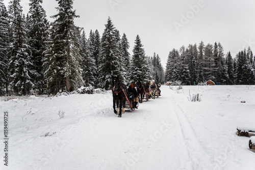 Snowy road leading to Chocholowska valley at winter, Tatra Mountains, Poland.