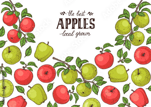 Apple fruit frame. Hand drawn vector illustration. Apple collection.