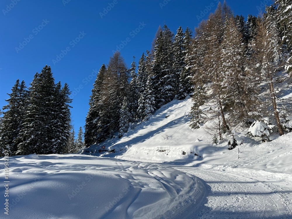 Excellently arranged and cleaned winter trails for walking, hiking, sports and recreation in the area of the tourist resort of Davos in the Swiss Alps - Canton of Grisons, Switzerland (Schweiz) Excellently arranged and cleaned winter trails for walking, hiking, sports and recreation in the area of the tourist resort of Davos in the Swiss Alps - Canton of Grisons, Switzerland (Schweiz)