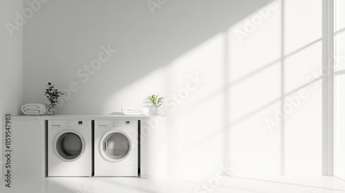 Modern minimalist laundry room with minimal decor. Featuring clean lines and a functional design