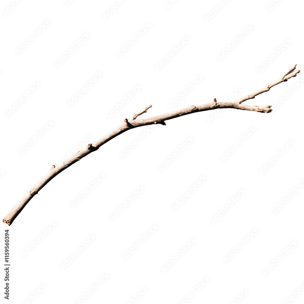 dry wooden twig isolated on transparent background dry wooden twig isolated on transparent background