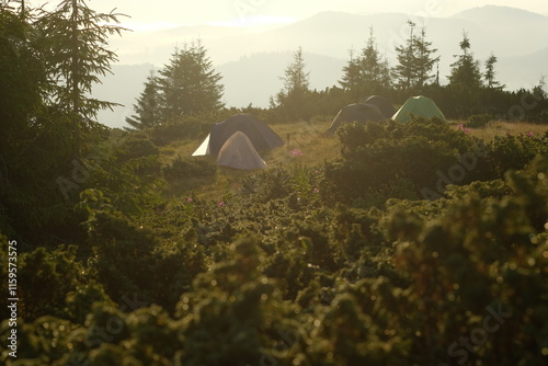 Tourist camp on a mountain meadow on a sunny morning.