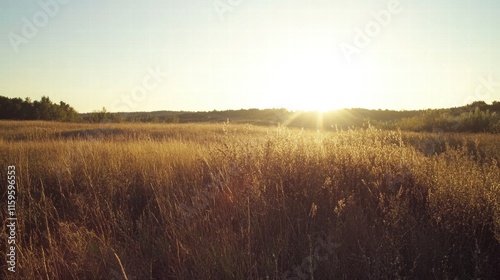 Wallpaper Mural Golden Hour Meadow:  A serene landscape with a golden glow of a setting sun casts a warm light over a meadow, painting the tall grass in hues of gold and amber.   Torontodigital.ca