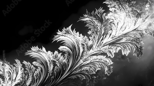 Wallpaper Mural Real frost on a window with frostwork pattern ice crystals on black background , frost, ice, window, cold, frostwork, crystals. Frostweave. Illustration Torontodigital.ca