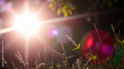 natural landscape forest mountains rivers