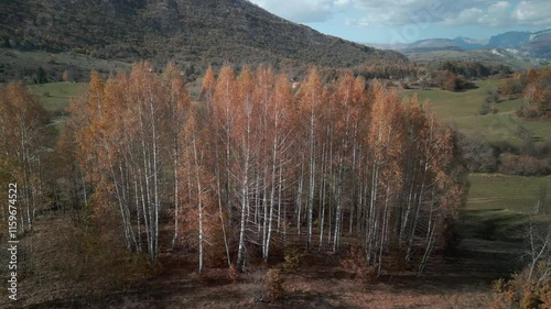 Colorful landscape of an autumn forest. Durmitor mountain range in the background, Montenegro