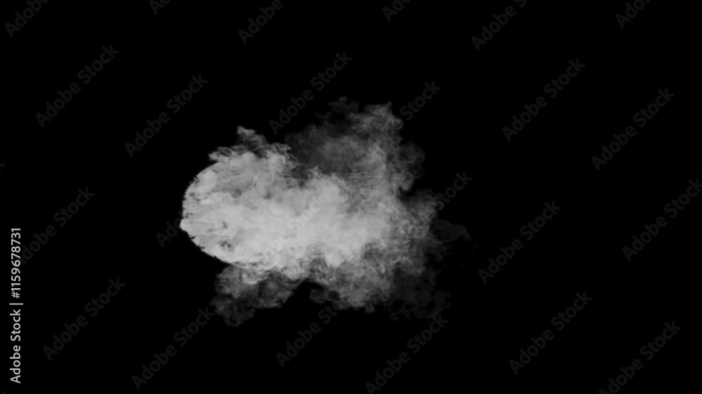 Smoke 3D, With Alpha Channel
Smoke 3D, With Alpha Channel