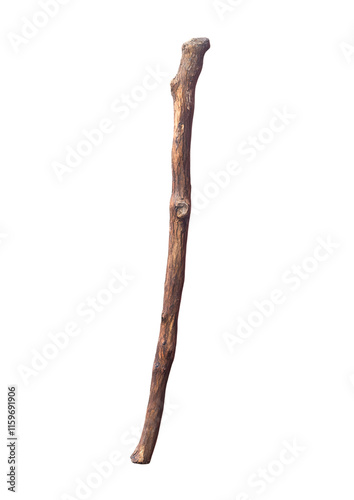Rustic wooden walking stick with natural texture on black background