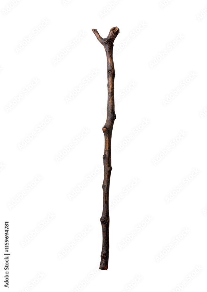 Natural wooden branch isolated on black background Natural wooden branch isolated on black background