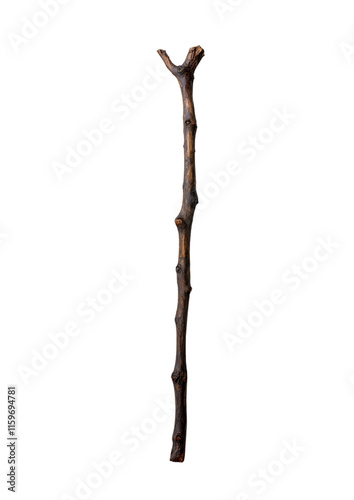 Natural wooden branch isolated on black background