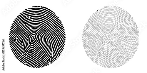 Fingerprint Identity: Two detailed fingerprint scans, one black and one grey, providing a visual representation of biometric security and identification. Perfect for security, technology.