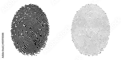 Fingerprint Identity: Two detailed fingerprints, one black and one white, offer a captivating study of individuality and uniqueness.  