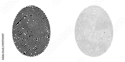 Fingerprint Identity: A detailed illustration of a fingerprint, showcasing the unique patterns and whorls that make each individual distinct.