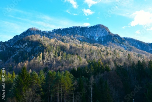 Forest covered mountain in Julian alps above Vrata in Gorenjska, Slovenia