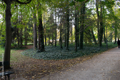 Royal Lazienki Park, river castle doors, tries and river photo