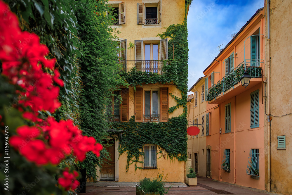 Fototapeta premium Colorful ivy covered buildings with wooden shutters line a narrow street in Cannes, France, a renowned destination for the annual Cannes Film Festival