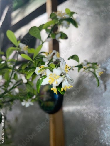 flowers in a vase