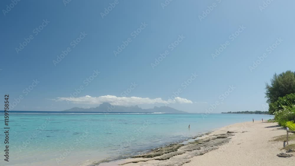 Summer tropical travel background. Sand beach, palm tree leaves, turquoise crystal water under clear blue sky. Moorea island in distance. Stunning nature paradise, exotic travel to French Polynesia Summer tropical travel background. Sand beach, palm tree leaves, turquoise crystal water under clear blue sky. Moorea island in distance. Stunning nature paradise, exotic travel to French Polynesia