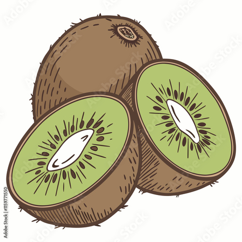 illustration of kiwi fruit