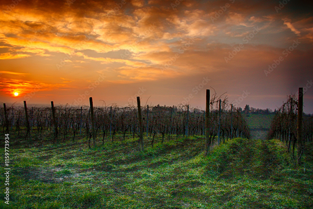 Obraz premium Tramonto sui Colli Tortonesi - Alessandria - Piemonte - Italia