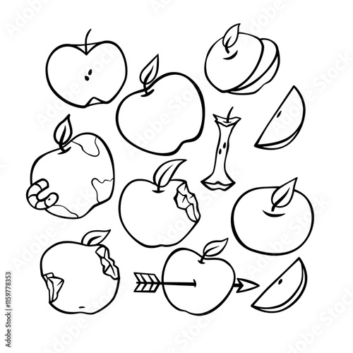 Apple with various condition and view fruit organic agriculture handdrawn doodle sketch illustration