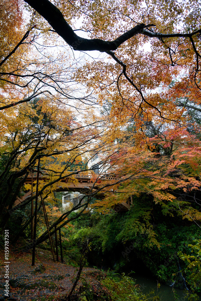 加賀・山中温泉のこおろぎ橋と紅葉