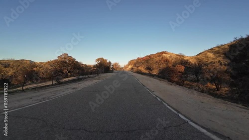 California Wild Fire Burned Area Driving Plate Front View 01 California USA photo