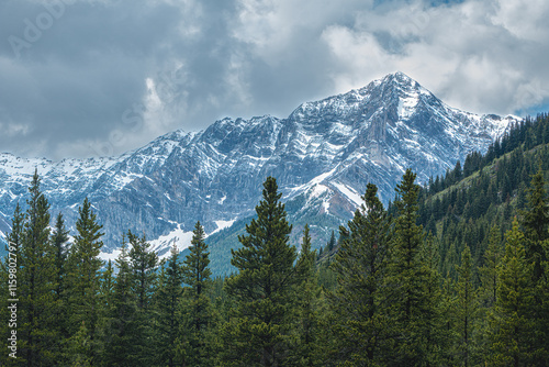 The majestic Canadian Rocky Mountains with jagged, ice-capped peaks, evergreen trees, and beautiful grey and white clouds. A photograph taken near Banff National Park, Alberta, Canada.
