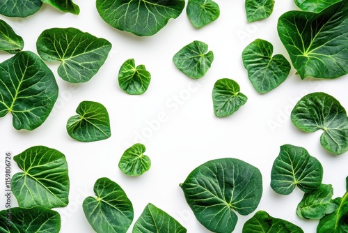 Healthy jiaogulan leaves on a light backdrop