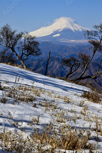 丹沢山地の檜洞丸より　厳冬の富士山と稜線に積もる雪
 photo