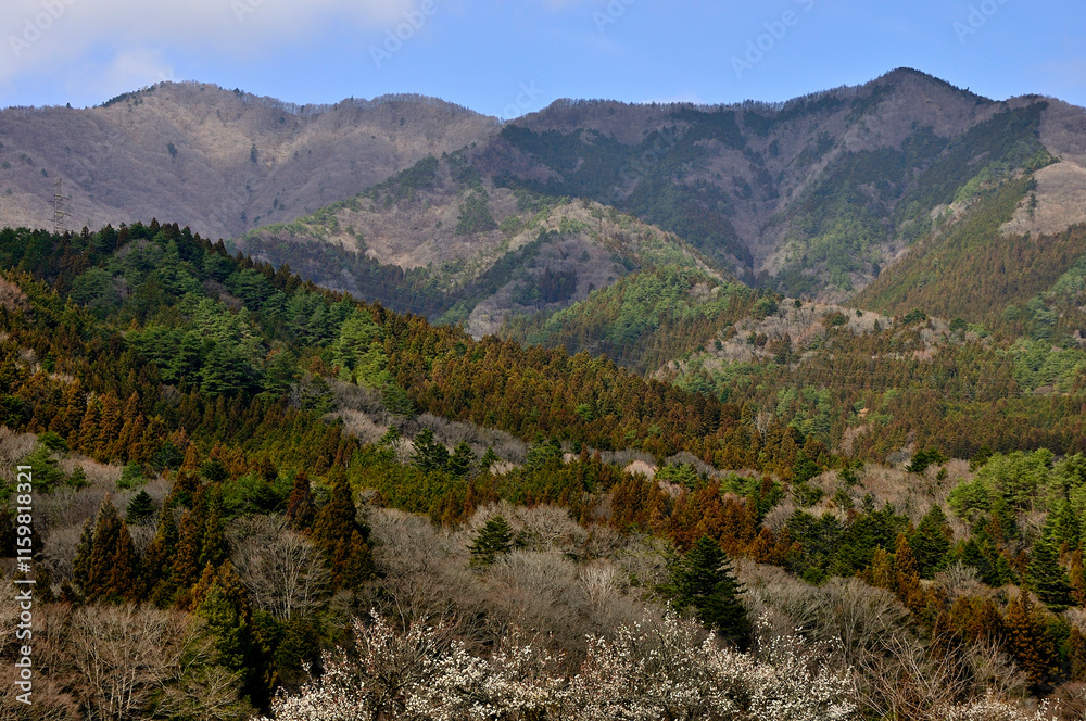 Naklejka premium 道志山塊 今倉山と平沢ノ頭 