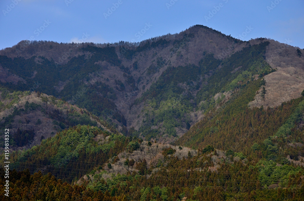 Obraz premium 道志山塊 平沢ノ頭 