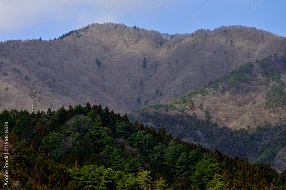 道志山塊 今倉山
道志山塊 今倉山