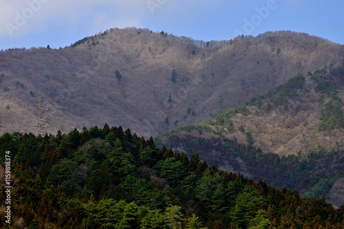 道志山塊 今倉山 