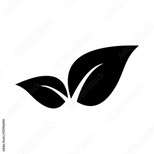 vector images of leaves and the like